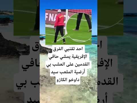 سید داوخو الكازو اكسبلور الله لايك 100 اقنباسات معلومات ترند