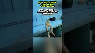 Когда Позвали На Турнир В