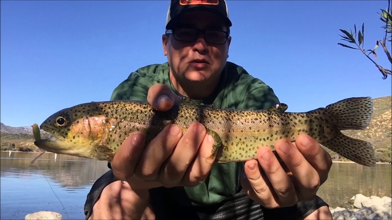 Fall Trout Fishing At Silverwood Lake Drop Shot YouTube