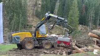 Processore forestale Log Max 7000C