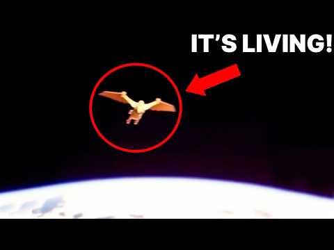 Strange Things Detected Near Jupiter - YouTube