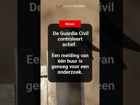 Pas op: flinke boetes bij verwijderen zwaluwnesten