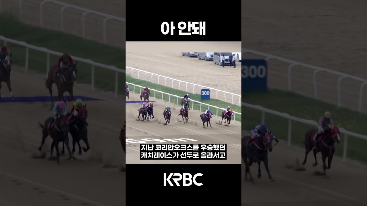 삐용삐용🚨 초비상!! #shorts #경마방송 #기수 #경주마 #경마 #KoreaHorseRacing