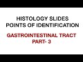 Gastrointestinal Tract Part 3 Histology