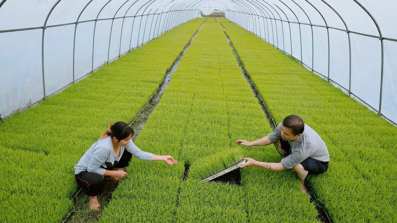 newspaper mockup How can China feed its 1.4 billion people?