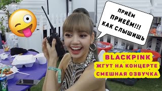 BLACKPINK жгут на концерте смешная озвучка