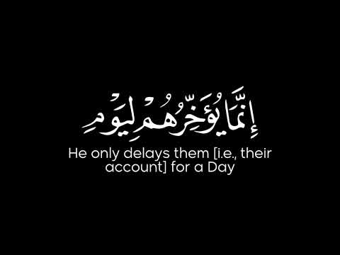 ولا تحسبن الله غافلا عما يعمل الظالمون سلمان المطيري قران شاشة سوداء بدون حقوق حالات واتس