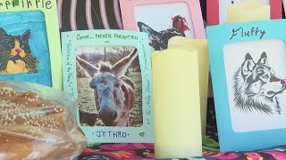 Honor lost pets with the beloved pet ofrenda at the North Carolina Zoo