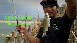 Mancing tawes/nila/mujaer di waduk cacaban slawi Tegal