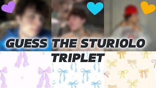 GUESS THE STURNIOLO TRIPLET BY THE ZOOMED IN PICTURE