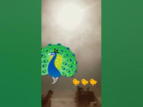 fnfnfn - YouTube