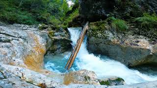 Cascading Summer River in the Wilderness - Rapid Water Sounds - 1 Hour Relaxing Video in HD