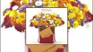 Prisma - Prisma [CD Album]