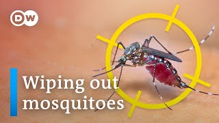 Top 16 why do we need mosquitoes