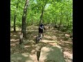 Half Pipe Milford NEMBA Shorts Mtb Nature Subscribe Explore Viral Cycling Mountainbike 