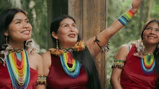 Grupo Nujan - Kerua (El Baile de las Aves)