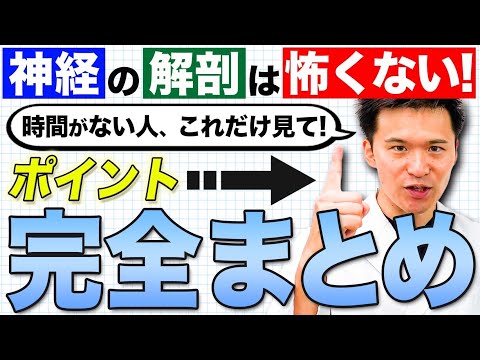【神経解剖学】これだけでOK！医学生の誰もが苦手な脳神経と眼球運動障害を完全マスター！トロサハント症候群とMLF症候群について分かりやすく解説します！