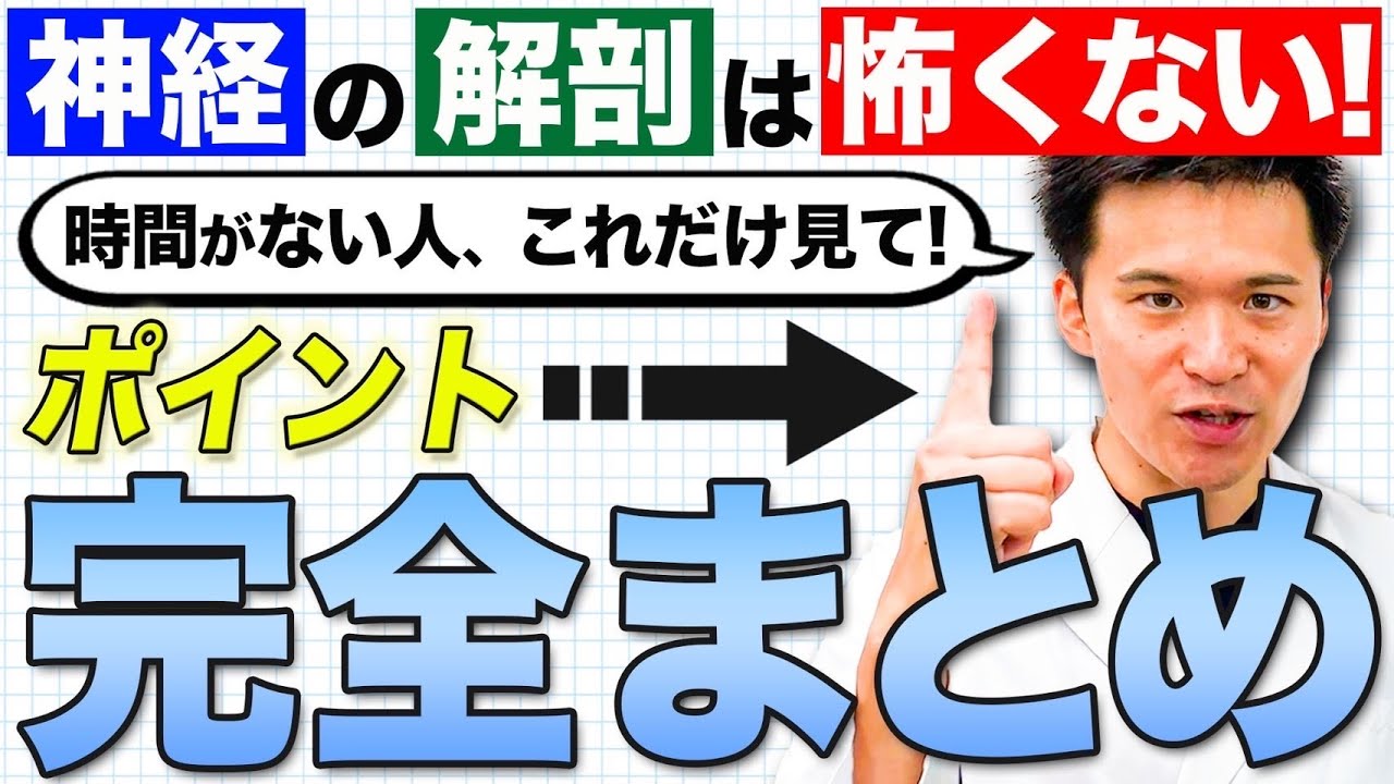 【神経解剖学】これだけでOK！医学生の誰もが苦手な脳神経と眼球運動障害を完全マスター！トロサハント症候群とML… — Transcript