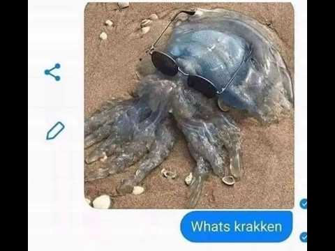 what's krakken