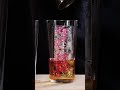 【環境音】映えすぎる氷でハイボール｜A Stunning Ice Pillar Highball