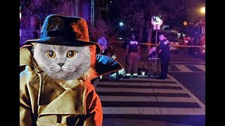 Seth Rich Update- Footage recap, Suspicious Neighbours and I ask a detective questions.