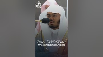سورة الفجر تلاوة جميلة للشيخ #ياسر_الدوسري امام الحرم المكي