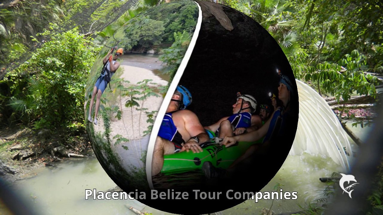 tour operators in placencia belize