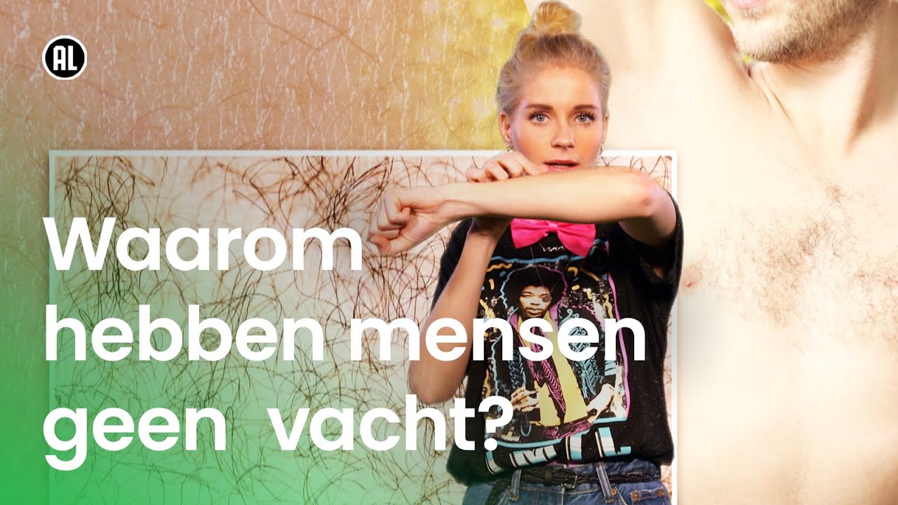 Waarom hebben mensen geen vacht? | Waarom? Daarom!