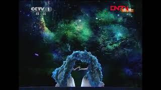 Dance appreciation:《Love of Peacock》 by Chinese dance artist Yang Liping