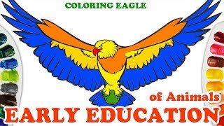 Drawing Eagle | Coloring Eagle | Colors For Kids and Toddlers | Coloring Pages
