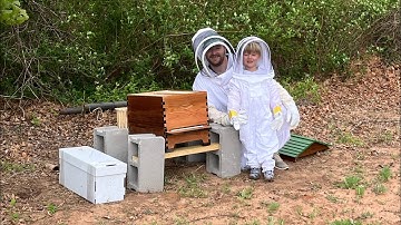 Flow Hive: Installing A Nuc