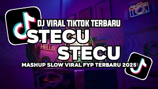 DJ STECU STECU SETELAN CUEK BARU MALU SLOW BASS VIRAL TIKTOK FULL SONG TERBARU 2025
