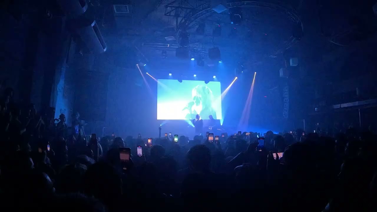 Boy Harsher - Wicked Game [Chris Isaak Cover] (Live @ Blondie - Santiago, Chile)