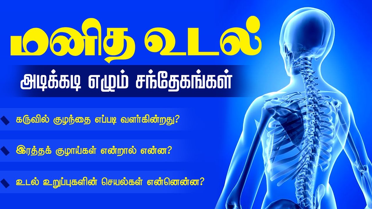 Fruit Caricature: Human Body Parts And Their Functions In Tamil