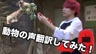 動物園で動物の鳴き声翻訳機使ってみた Youtube