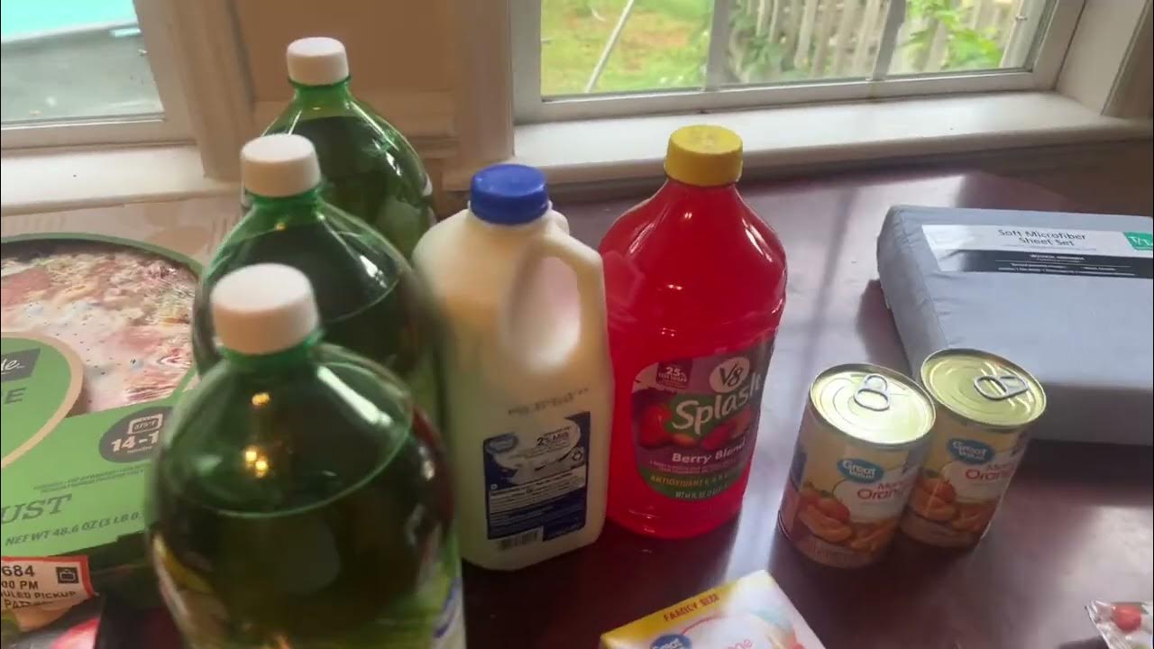 weekly-grocery-haul-food-lion-sale-items-walmart-essentials-dollar