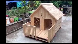 给狗狗搭建房子全过程/Building houses for dogs