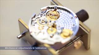 Watchfacts Basic Service Information