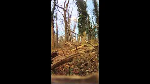 MTB II.wmv