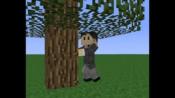 Mine-imator:First Animation