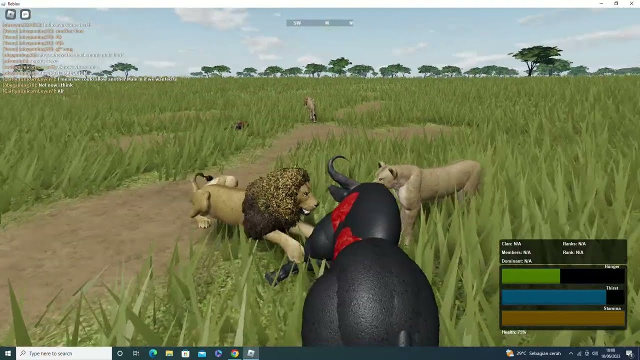 Pride of lions! | wild savanna | roblox