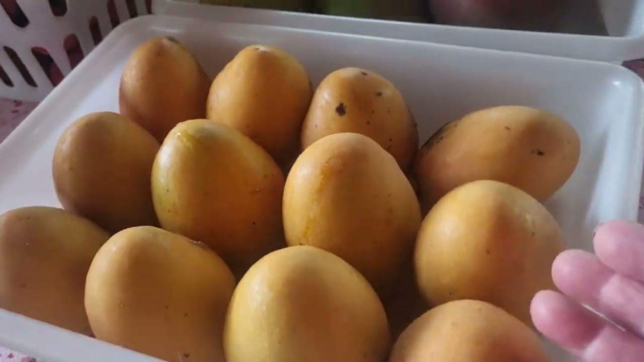 Mostrando as coisas da roça da Nilda