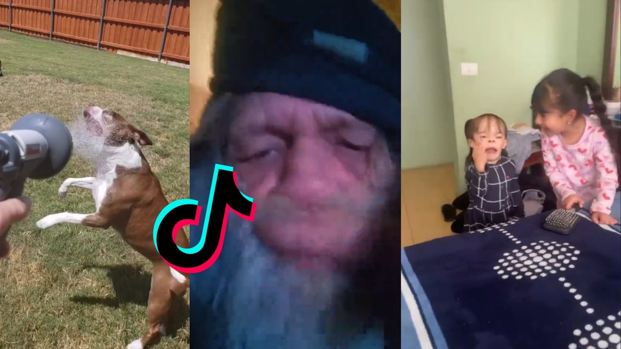 Random videos | watch at 2 a.m. #14