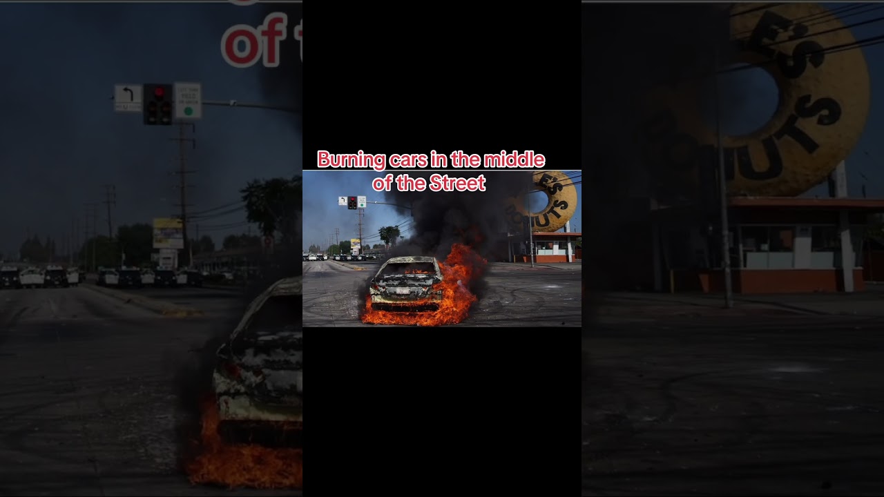 🔥LA RIOTERS BURNED IT DOWN 