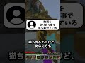 喧嘩の後、仲直りの方法を教えてください! #shorts