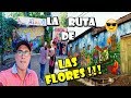 Ataco Ruta de Las Flores🌺🌹🌷🌼🌻