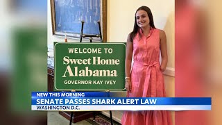 New law aims to protect beach-goers with shark alert system