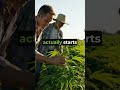 Mother of all Cannabinoids