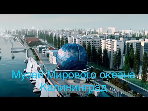 Калининград Музей Мирового океана
