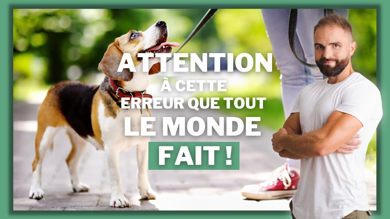 Attention à cette erreur que tout le monde fait ! - YouTube